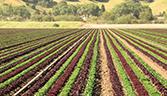 Agtech growth market