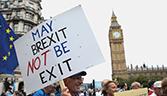 Brexit not exit Brexit not exit