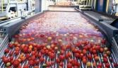 Heinzs taste for growth in emerging economies