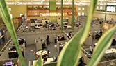 Jamaica_Call centre