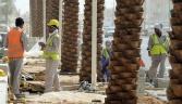 MENA logisitics on right track