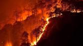WEF Wildfire Photo Cropped